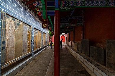 《宝可梦：朱＆紫》下周暂不会与Pokemon Home关联