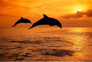 微软发布Remix Xbox特别版手柄 部分为回收材质