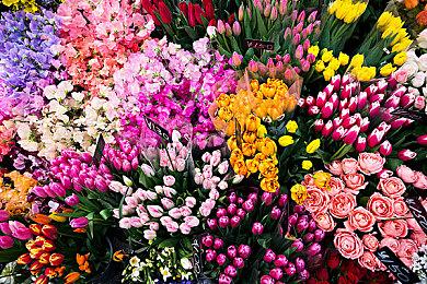 卡普空《生化危机》系列Steam促销 多款作品史低优惠