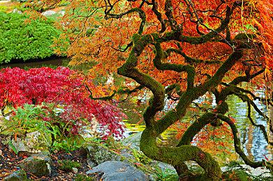 《牧场模拟器》Steam发售近两年 人气提升在线创新高